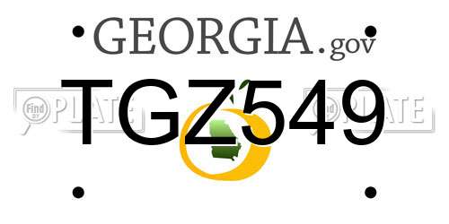 TGZ549 Georgia License Plate