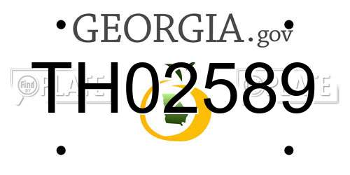 TH02589 Georgia License Plate