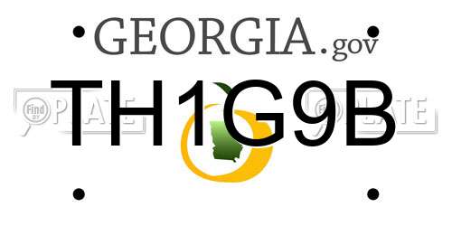 TH1G9B Georgia License Plate