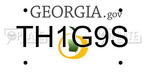TH1G9S Georgia License Plate