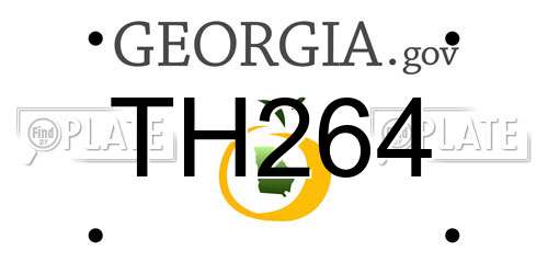 TH264 Georgia License Plate