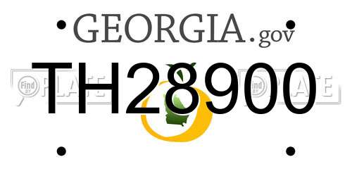 TH28900 Georgia License Plate