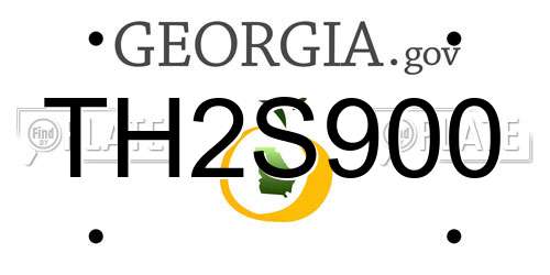 TH2S900 Georgia License Plate