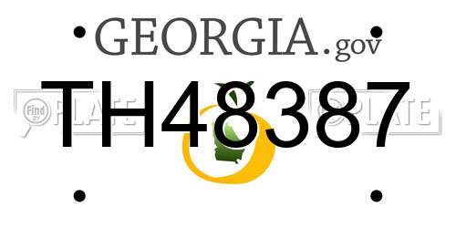 TH48387 Georgia License Plate