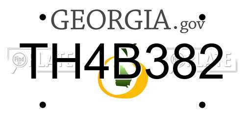TH4B382 Georgia License Plate