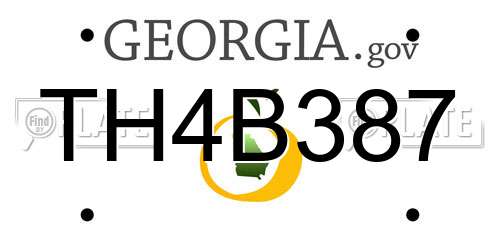 TH4B387 Georgia License Plate
