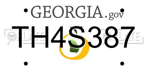 TH4S387 Georgia License Plate