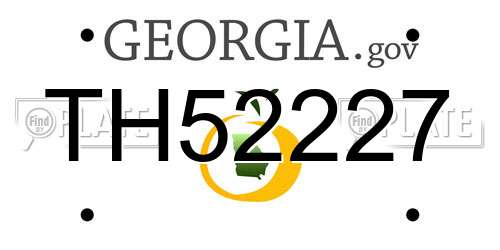 TH52227 Georgia License Plate