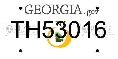 TH53016 Georgia License Plate