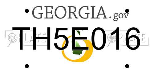 TH5E016 Georgia License Plate