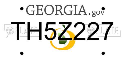 TH5Z227 Georgia License Plate