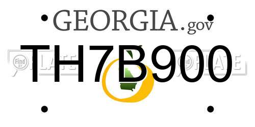 TH7B900 Georgia License Plate