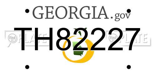 TH82227 Georgia License Plate
