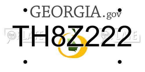 TH8Z222 Georgia License Plate