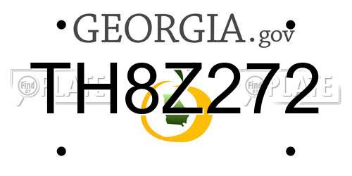TH8Z272 Georgia License Plate