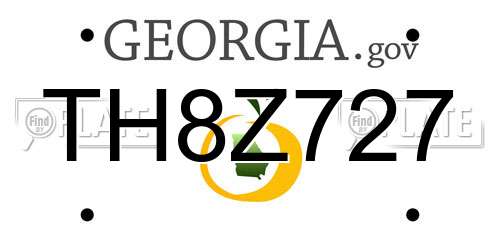 TH8Z727 Georgia License Plate