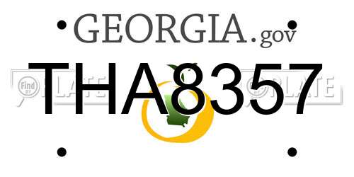THA8357 Georgia License Plate