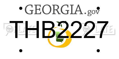 THB2227 Georgia License Plate