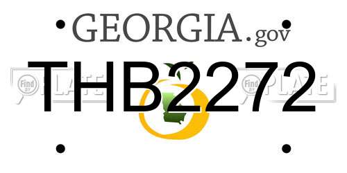 THB2272 Georgia License Plate