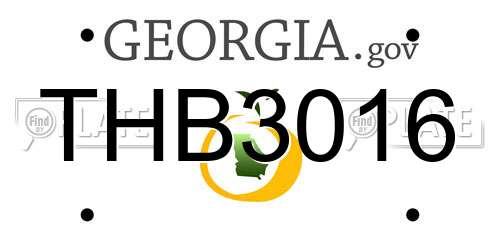 THB3016 Georgia License Plate
