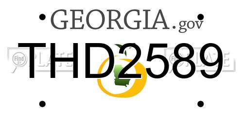 THD2589 Georgia License Plate
