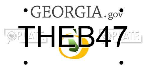 THEB47 Georgia License Plate