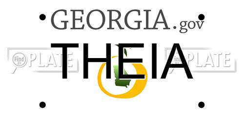 THEIA Georgia License Plate