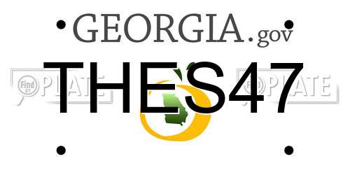 THES47 Georgia License Plate