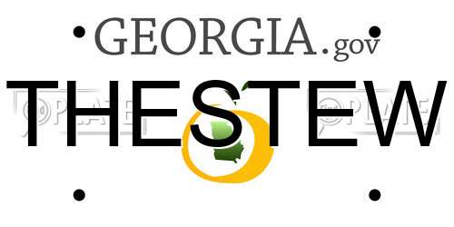 THESTEW Georgia License Plate