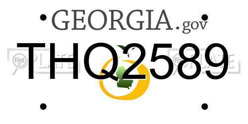 THQ2589 Georgia License Plate