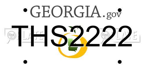 THS2222 Georgia License Plate
