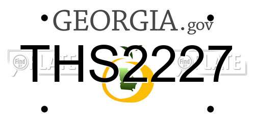 THS2227 Georgia License Plate