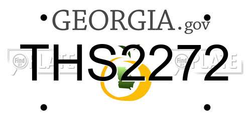 THS2272 Georgia License Plate