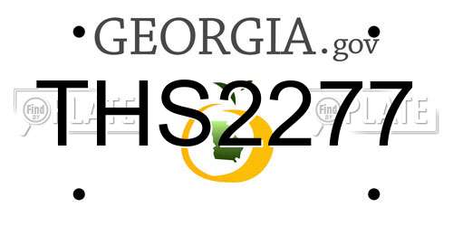 THS2277 Georgia License Plate