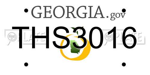 THS3016 Georgia License Plate