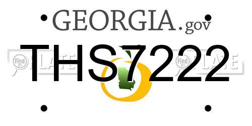 THS7222 Georgia License Plate