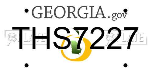 THS7227 Georgia License Plate