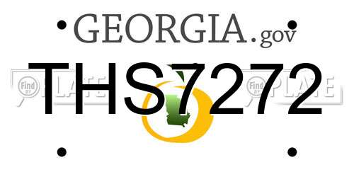 THS7272 Georgia License Plate