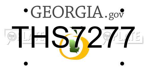 THS7277 Georgia License Plate