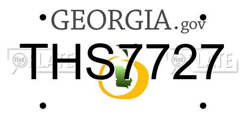 THS7727 Georgia License Plate