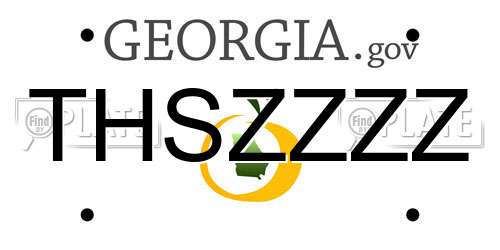 THSZZZZ Georgia License Plate
