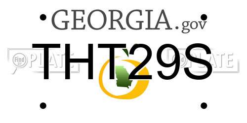 THT29S Georgia License Plate