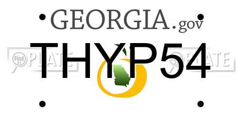 THYP54 Georgia License Plate