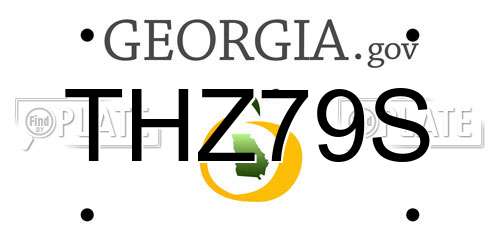 THZ79S Georgia License Plate