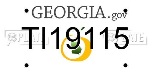 TI19115 Georgia License Plate