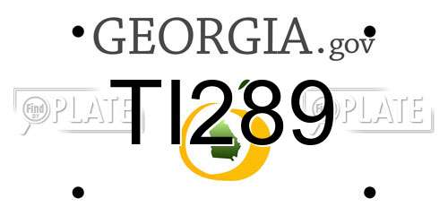 TI289 Georgia License Plate