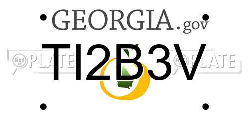 TI2B3V Georgia License Plate