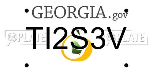 TI2S3V Georgia License Plate
