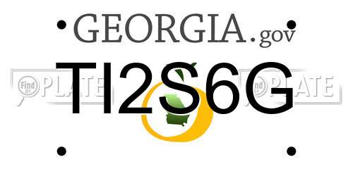 TI2S6G Georgia License Plate