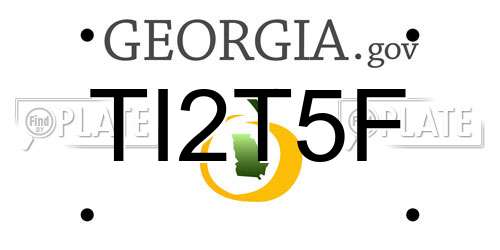 TI2T5F Georgia License Plate